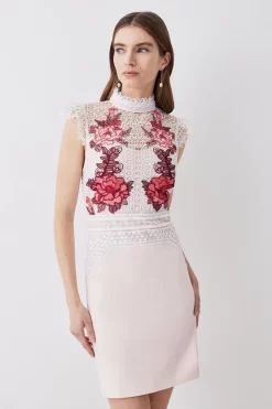 Discount ✨ Karen Millen Rose Guipure Lace Mini 👗 Dress 🛒